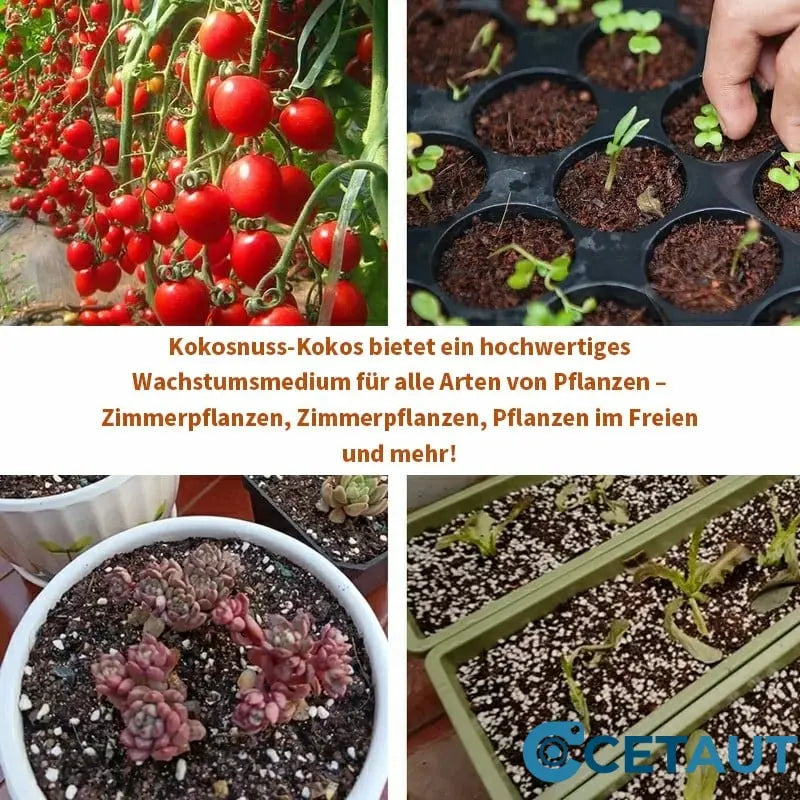 🔥Natürlich wachsen, einfach glücklich!⏰ Organische Kokosnussschalen für Pflanzen🥥🌱 cetaut