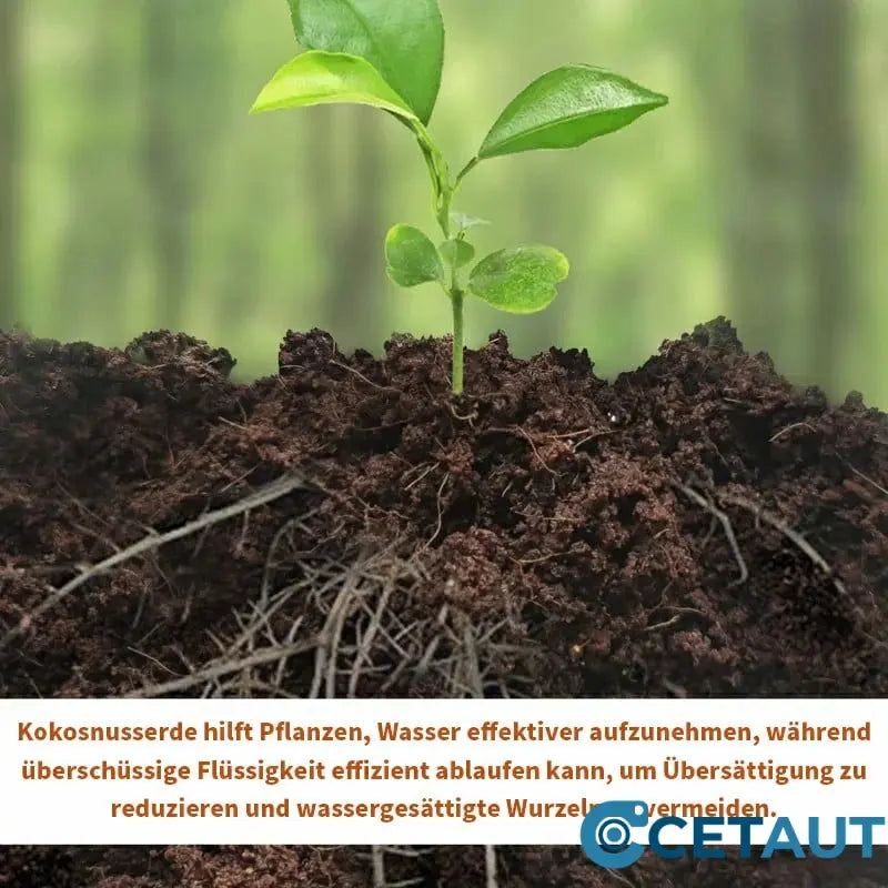 🔥Natürlich wachsen, einfach glücklich!⏰ Organische Kokosnussschalen für Pflanzen🥥🌱 cetaut