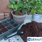 🔥Natürlich wachsen, einfach glücklich!⏰ Organische Kokosnussschalen für Pflanzen🥥🌱 cetaut