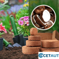 🔥Natürlich wachsen, einfach glücklich!⏰ Organische Kokosnussschalen für Pflanzen🥥🌱 cetaut