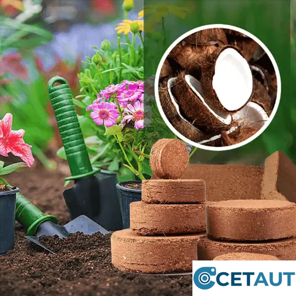 🔥Natürlich wachsen, einfach glücklich!⏰ Organische Kokosnussschalen für Pflanzen🥥🌱 cetaut
