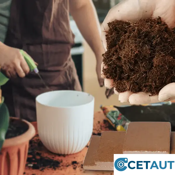 🔥Natürlich wachsen, einfach glücklich!⏰ Organische Kokosnussschalen für Pflanzen🥥🌱 cetaut