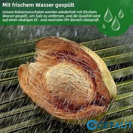 🔥Natürlich wachsen, einfach glücklich!⏰ Organische Kokosnussschalen für Pflanzen🥥🌱 cetaut