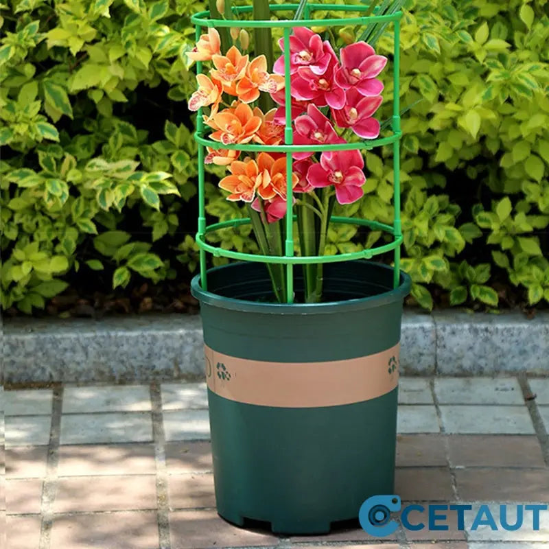🌱Modul-Pflanzenstütze: Einfach Bauen, Starke Hilfe🌱Abnehmbare Stützpfähle für Blumen und Früchte cetaut