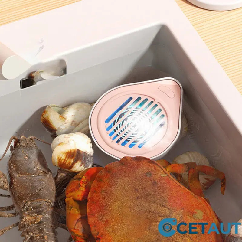 ⏳Zeitlich begrenztes Sonderangebot⏰Tragbarer, wiederaufladbarer Obst- und Gemüsereiniger🥬🍉 cetaut