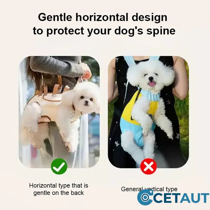 🐶🎒 Dein Liebling immer sicher bei dir – bequem und vielseitig cetaut