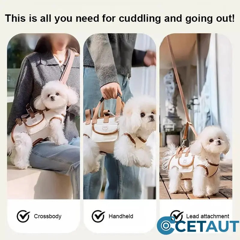 🐶🎒 Dein Liebling immer sicher bei dir – bequem und vielseitig cetaut