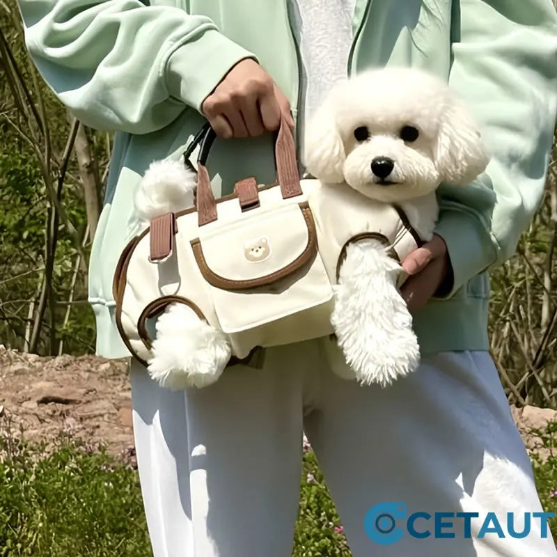 🐶🎒 Dein Liebling immer sicher bei dir – bequem und vielseitig cetaut