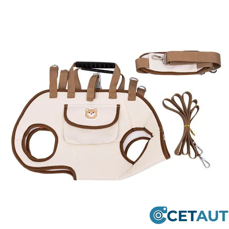 🐶🎒 Dein Liebling immer sicher bei dir – bequem und vielseitig cetaut